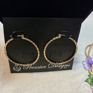 Retired Premier Designs Textured Goldtone Hoop Earrings 2012